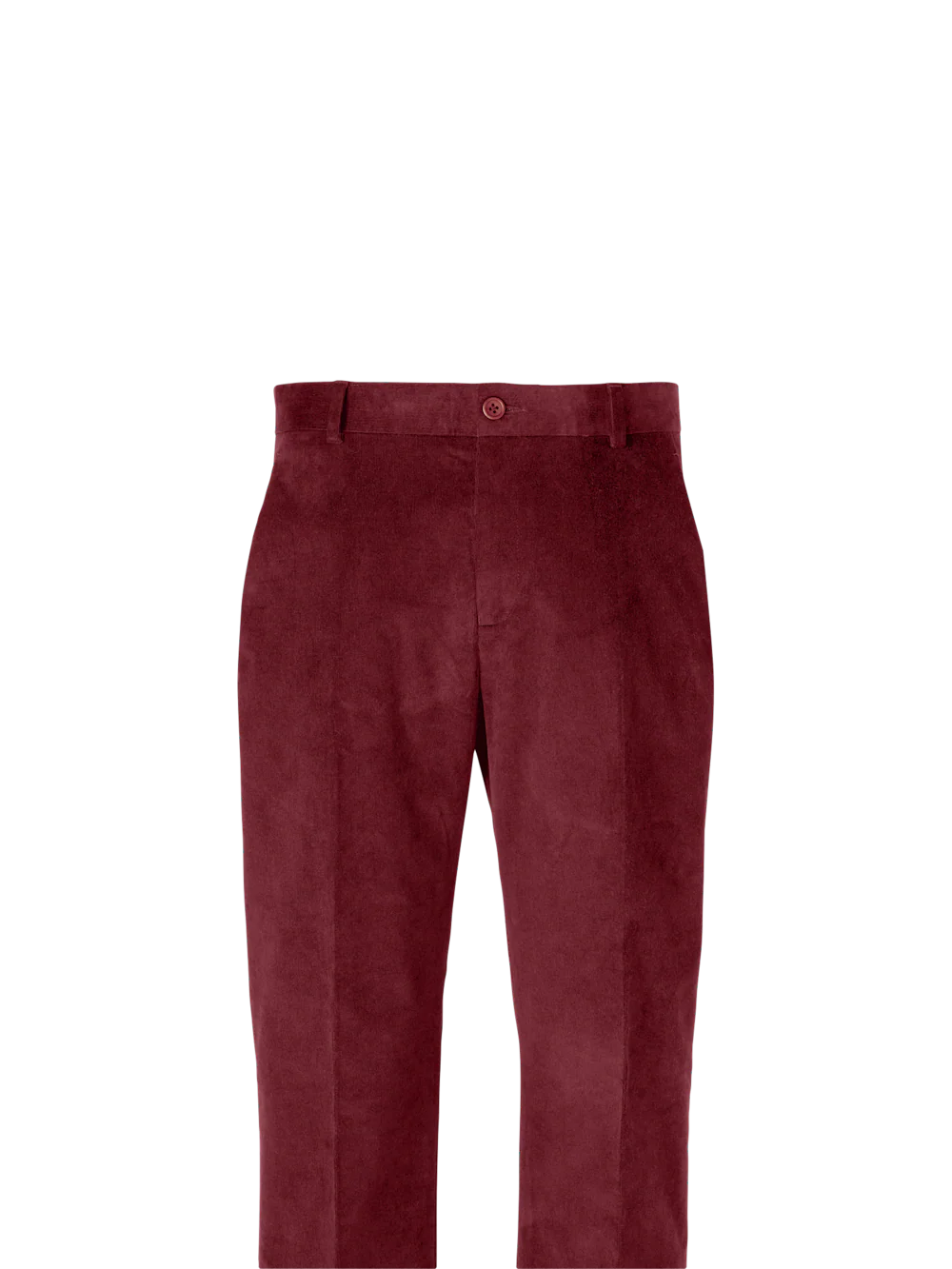 Cotton Stretch Corduroy Pants - Burgundy - Image 2