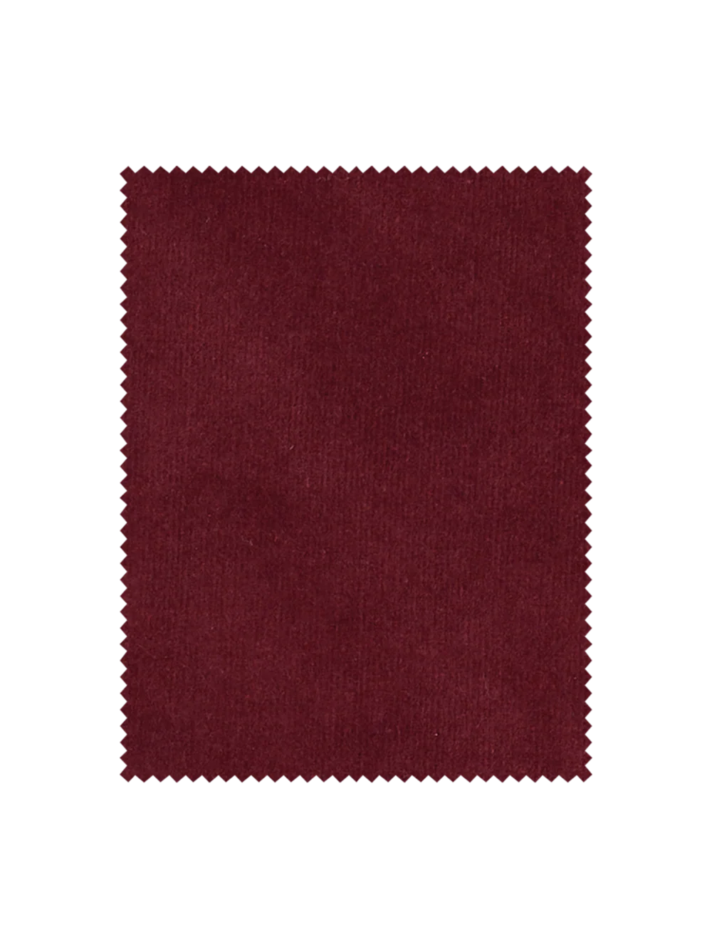 Cotton Stretch Corduroy Pants - Burgundy - Image 3